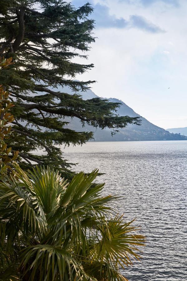 Villa Lario Lake Como Pognana Lario Exterior photo